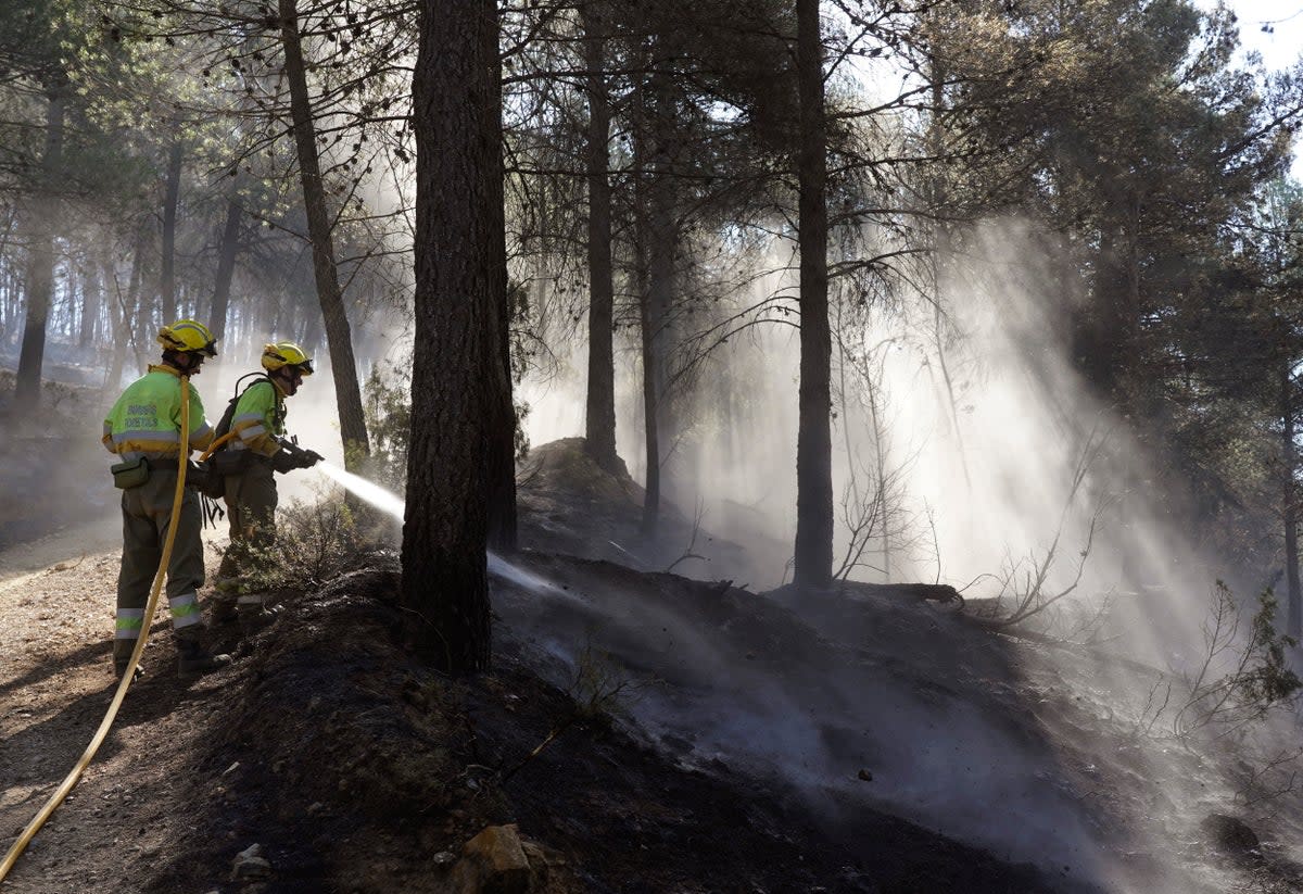 ESPAÑA-INCENDIOS FORESTALES (AP)