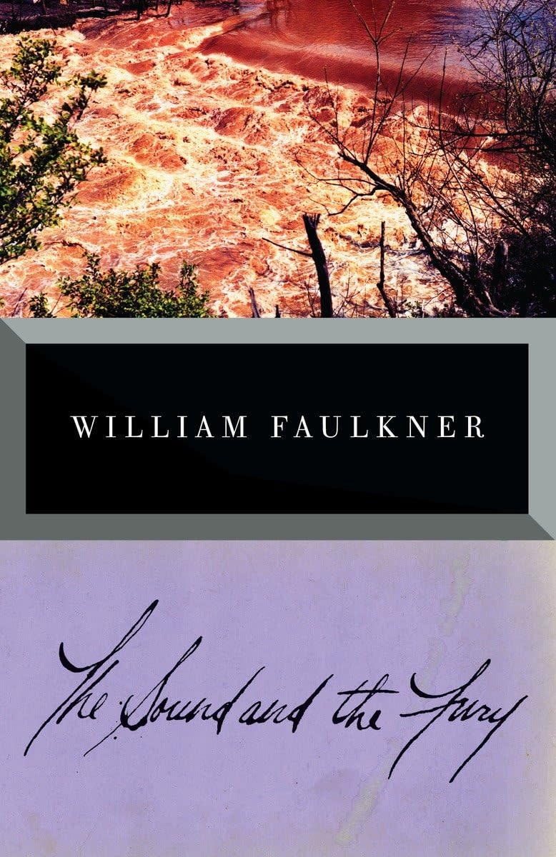 "The Sound and the Fury" by William Faulkner.