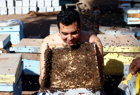 Mohamed Hagras, 31, smiles as he performs the "Beard of Bee" before the upcoming Egyptian Agricultural Carnival of Beekeeping in his farm at Shebin El Kom city in the province of Al- Al-Monofyia, northeast of Cairo, Egypt November 30, 2016. Picture taken November 30, 2016. REUTERS/Amr Abdallah Dalsh