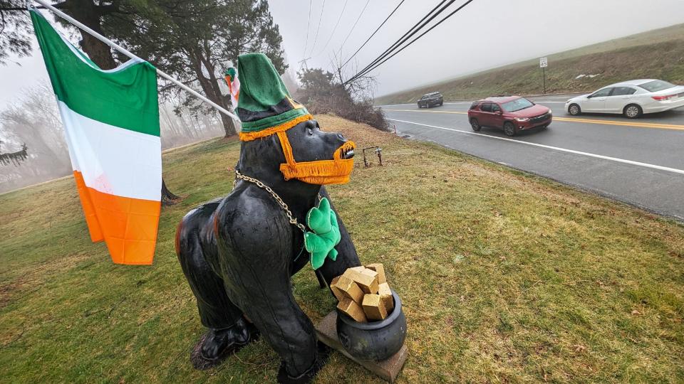 Tom Sinibaldi's gorilla dressed for St. Patrick's Day while cars fly by along the Cape Horn Road on March 4, 2024.