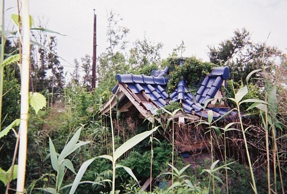 Roof of northwest corner tea house.