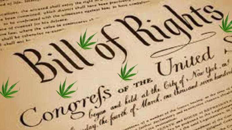 Cannabis leaves superimposed on the Bill of Rights