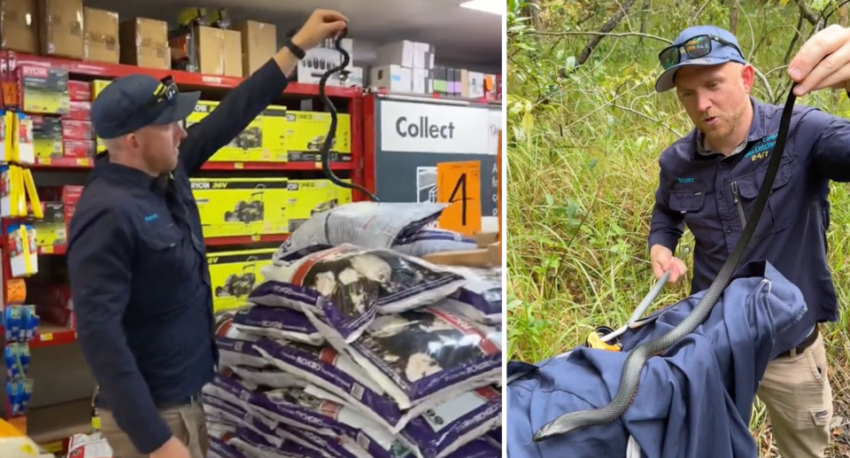 A la izquierda, Stuart McKenzie sostiene la serpiente en las tiendas Bunnings.  Está bien, está en el monte listo para dejarlo salir. 