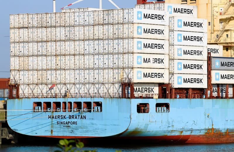 FILE PHOTO: Cargo ships are loaded at a container terminal in the harbour in Hamburg