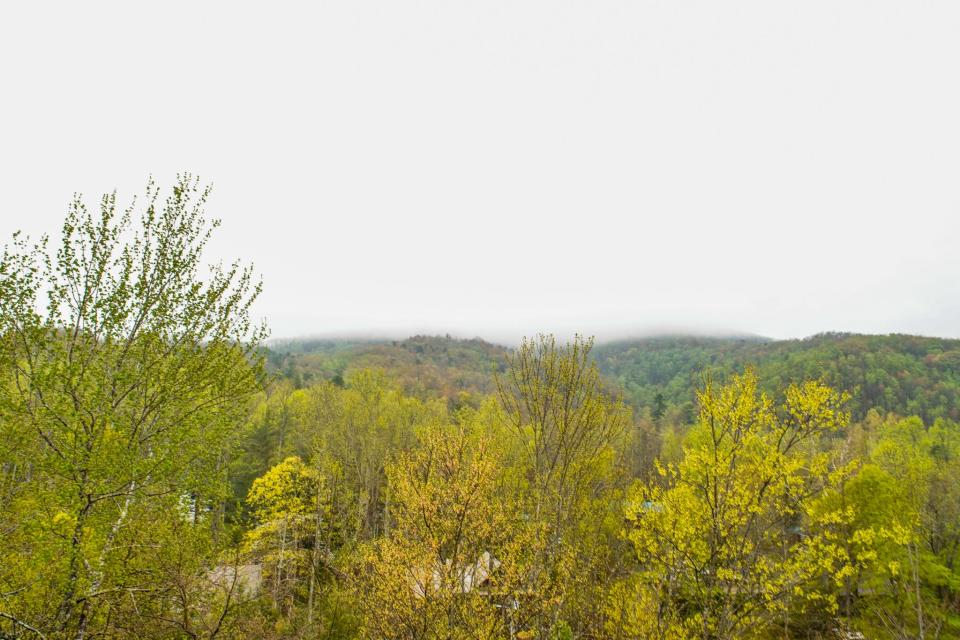 Trees in front of a mountain with gray, hazy skies.