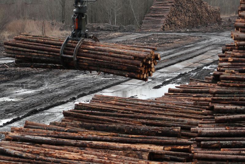 FILE PHOTO: A crane stacks logs at the Syassky Pulp & Paper Mill in Syasstroy