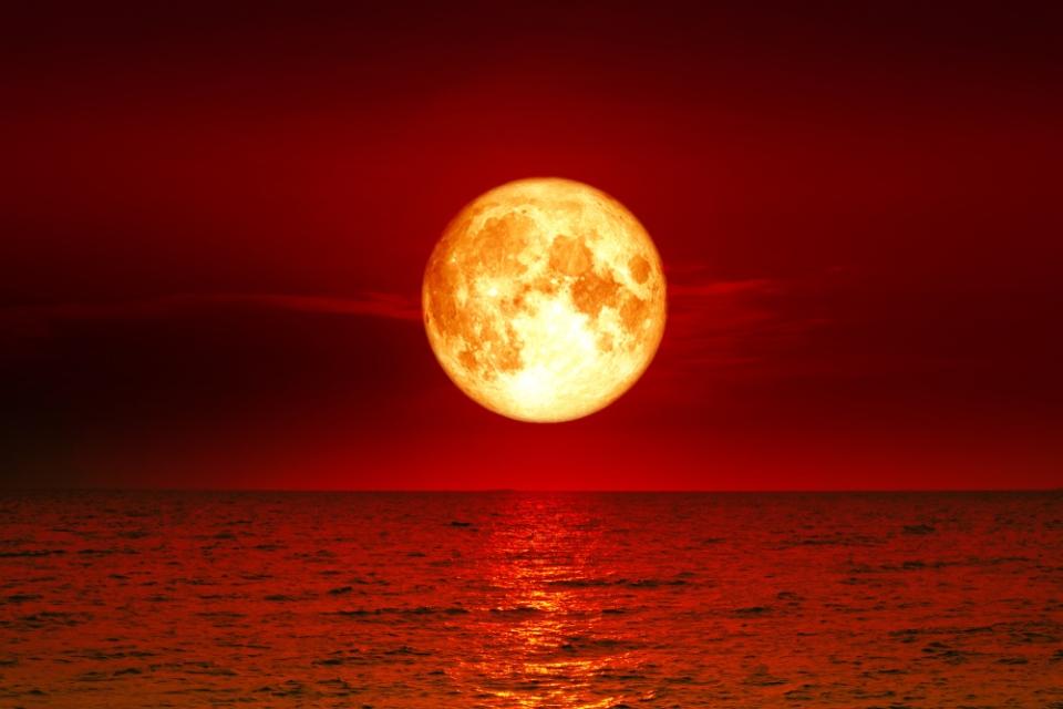 bitcoin cash crypto market blood moon