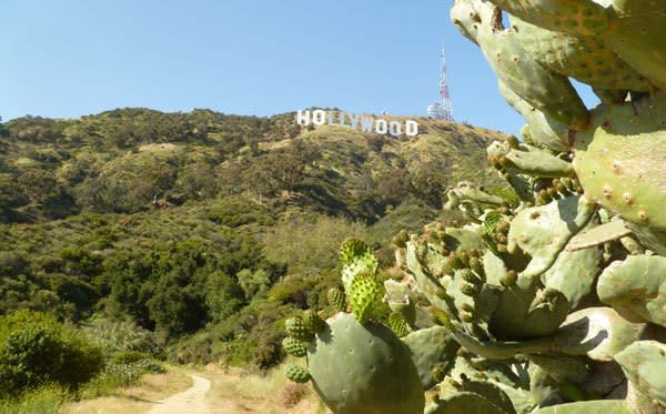 Beachwood Canyon, Hollywood sign