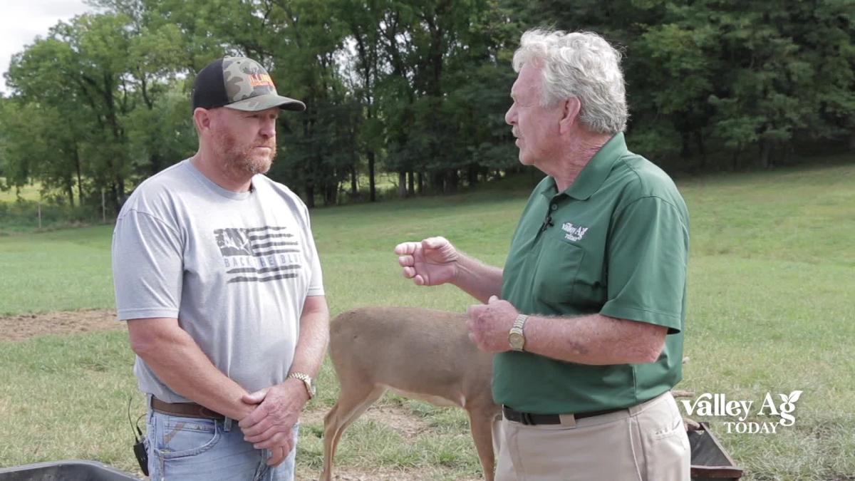 Valley Ag Today with Rick Davidson of Illinois Dominant Bucks