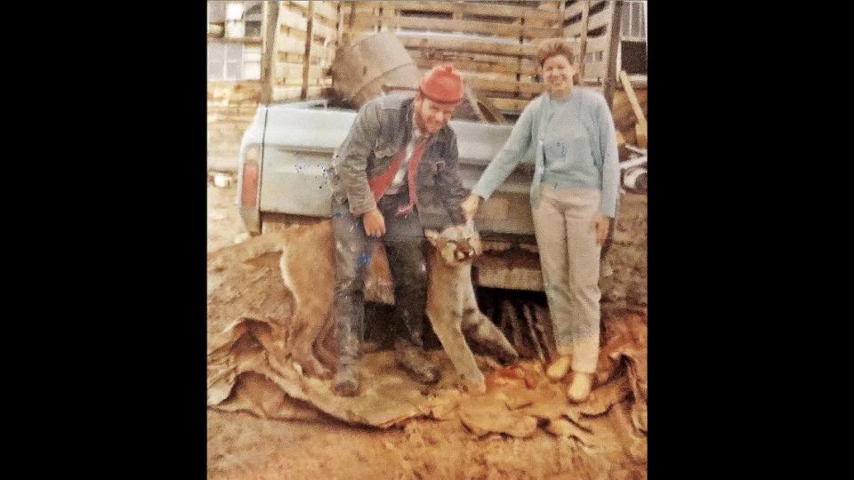 Jim and Marianne Huffman posing with a mountain lion Jim harvested from the mountains near their home in Regina, New Mexico, in 1969.