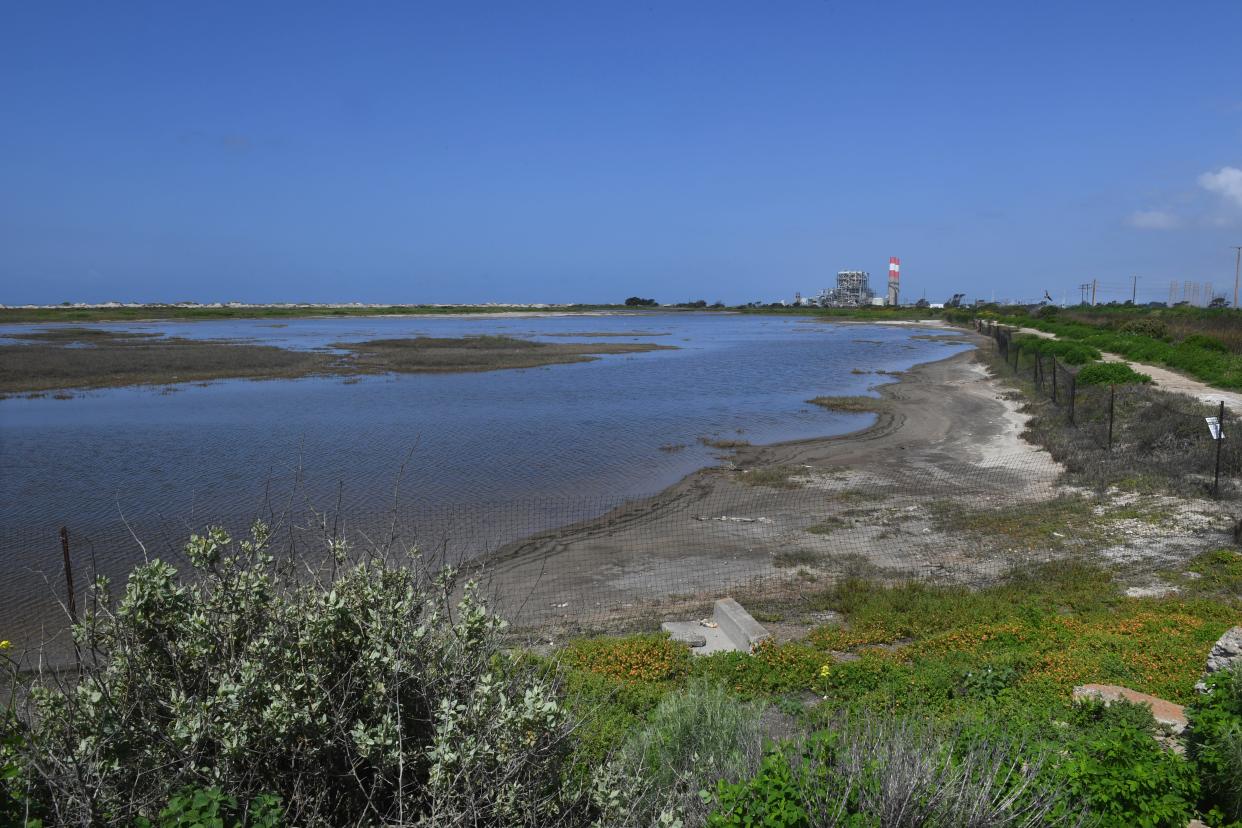 Water from a series of winter storms settles in a marsh at Ormond Beach earlier this month. Oxnard and two nature conservancies will apply for national wildlife refuge status for the area.