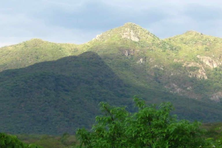 Panorámica de una zona de la Sierra de Quila. Foto: Conanp.