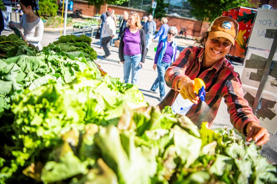 Jane Murray waters her plants at the Living Roots Farm booth during the Bloomington Community Farmers' Market on Satruday, May 11, 2024.