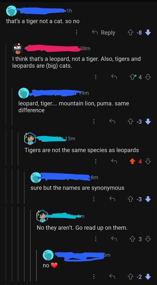 "leopard, tiger, mountain lion, puma, same difference"