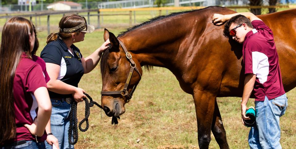 North Marion High School Equine Science II students Camille Ashbaugh, left, and Cooper Espinoza, right, work with Ahaya, a thoroughbred mare.