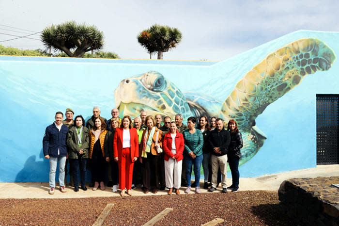 Reina Sofía suelta de tortugas en Tenerife