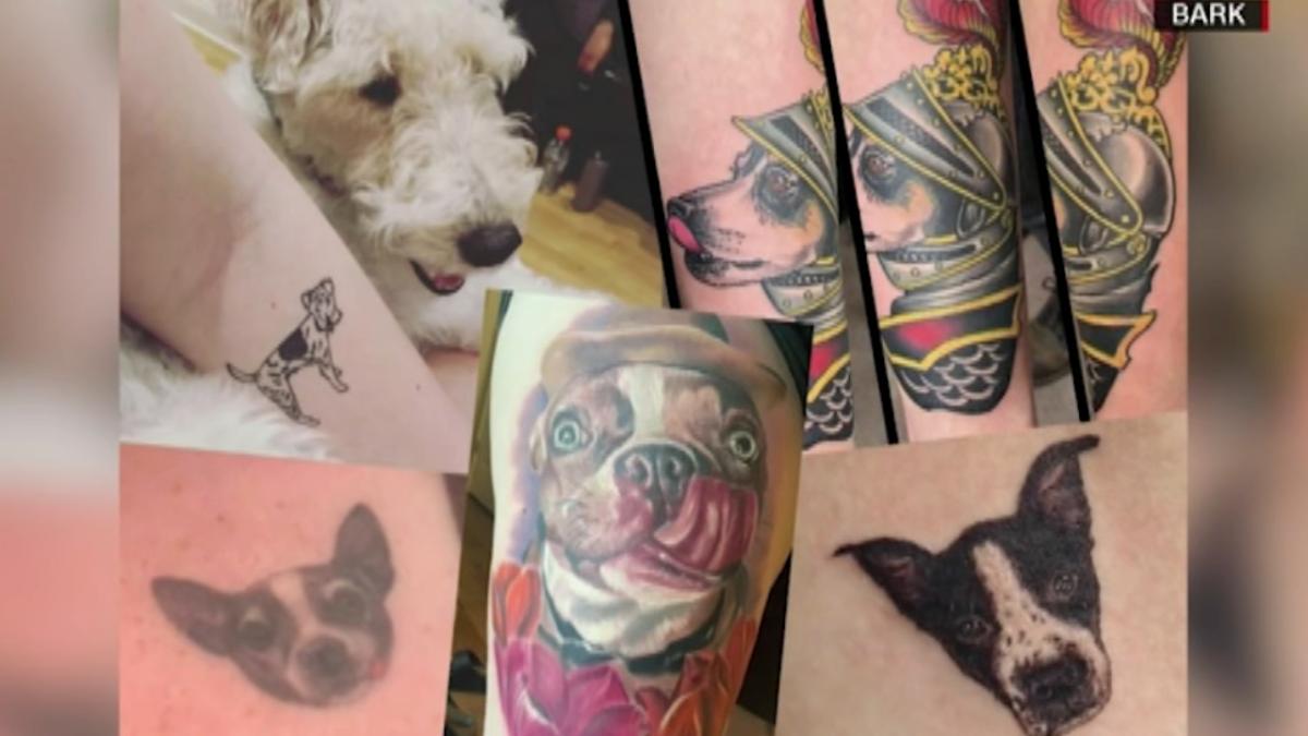 Win a free tattoo of your dog with Bark Box