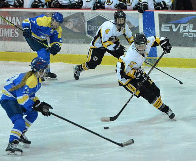 Sports Complex & Hockey Rink - Melville, NY