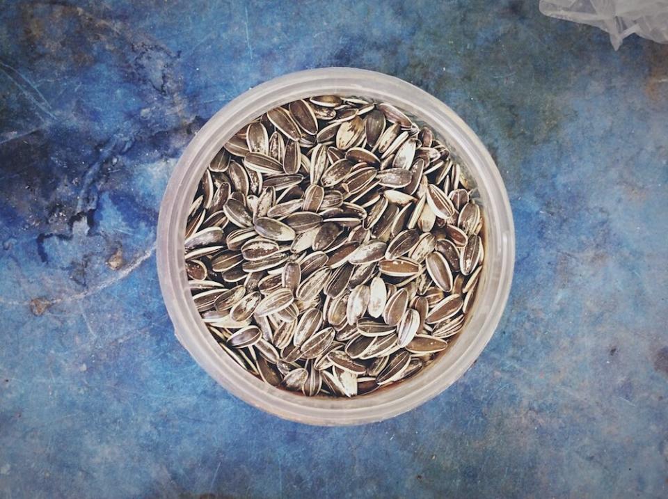 Sunflower seeds