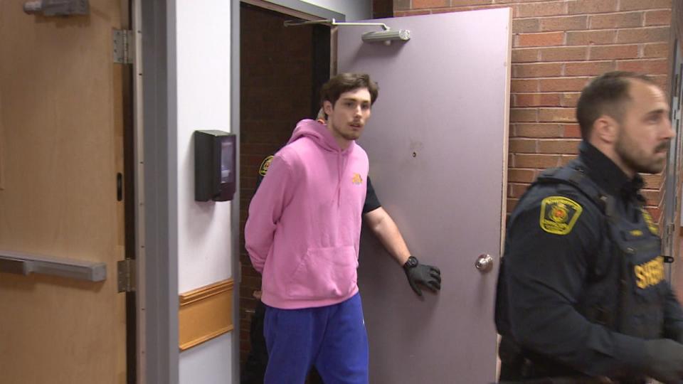 18-year-old Tyler Greening of Paradise is charged with attempted murder, aggravated assault, assault with a weapon and being an accessory to a crime in relation to an attack at Prince of Wales Collegiate in St. John's last week. (Heather Gillis/CBC - image credit)