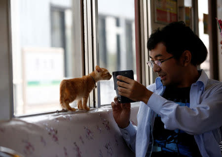 A man takes a picture of a cat in a train cat cafe, held on a local train to bring awareness to the culling of stray cats, in Ogaki, Gifu Prefecture, Japan September 10, 2017. REUTERS/Kim Kyung-Hoon