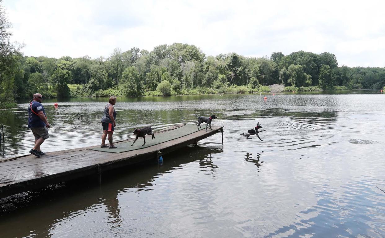 Jim and Paulette Branch of Green train their dogs last June at Portage Lakes State Park Dog Park in New Franklin.