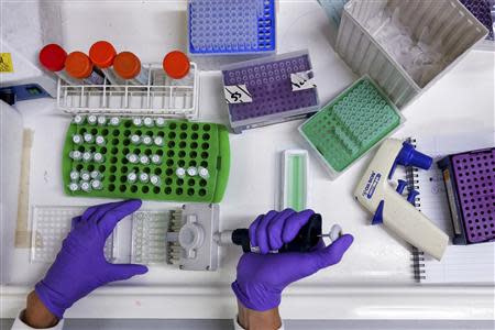 A scientist prepares protein samples for analysis in a lab at the Institute of Cancer Research in Sutton, July 15, 2013. REUTERS/Stefan Wermuth