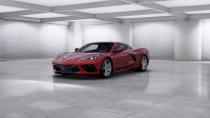 <p>This is an extra-cost color that previously cost $995 on the C7 Corvette.</p>
