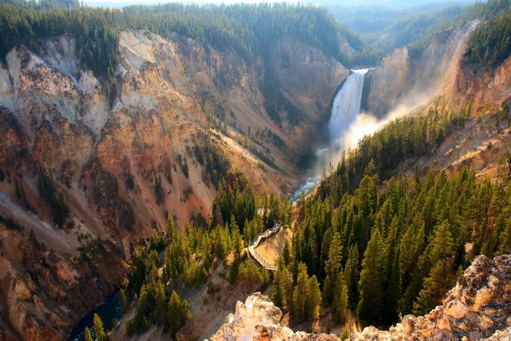 The Yellowstone River's Lower Falls from the North Overlook