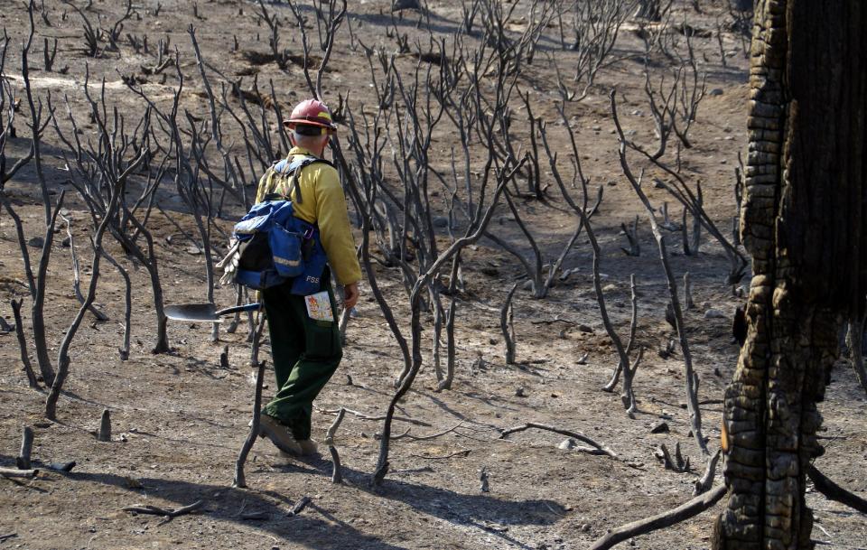 In this September 2013 photo provided by the U.S. Forest Service, Brad Rust, a soils scientist from the Burned Area Emergency Response team assesses a burn area in the Rim Fire near Yosemite National Park, Calif. Of the more than 250,000 acres that burned within the Rim Fire perimeter, the National Park Service’s Burned Area Emergency Response team estimated Monday Sept. 16, 2013, that 7 percent burned at high severity, 37 percent at moderate severity and the other 56 percent either didn’t burn or burned at low severity. (AP Photo/U.S. Forest Service)