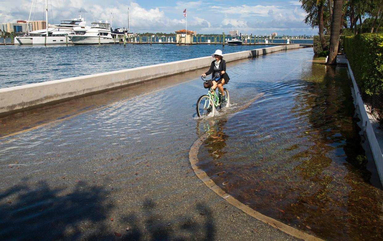 Water from the Intracoastal Waterway floods Lake Trail at Sunset Avenue in Palm Beach at high tide on a Sunday morning last month. The flooding is the result of the yearly King Tides, which began in September. The annual higher tides occur because of the influence of the moon and the Gulf Stream, but sea level rise due to climate change has increased the height and flooding.