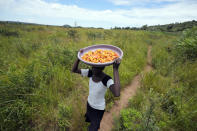 A young girl heads home after picking wild mushrooms from the forest on the outskirts of Harare, Tuesday, Feb. 21, 2023. Zimbabwe’s rainy season brings a bonanza of wild mushrooms, which many rural families feast upon and sell to boost their incomes. Rich in protein, antioxidants and fiber, wild mushrooms are a revered delicacy and income earner in Zimbabwe, where food and formal jobs are scarce for many. (AP Photo/Tsvangirayi Mukwazhi)