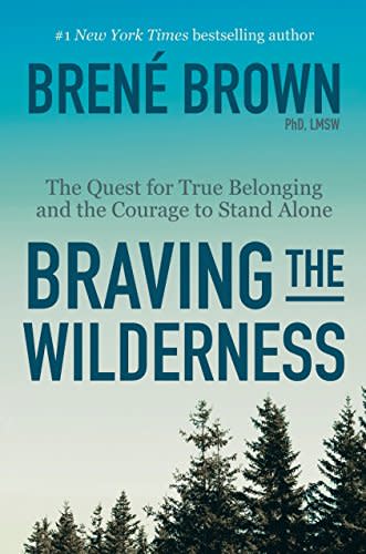 2) Braving the Wilderness (2017)