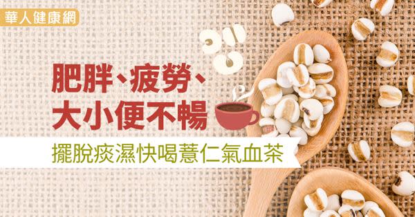 肥胖、疲勞、大小便不暢　擺脫痰濕快喝薏仁氣血茶