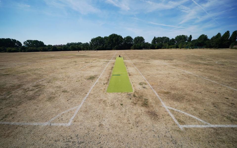 An artificial cricket pitch on Hackney Marshes is the only patch of green to be seen - PA