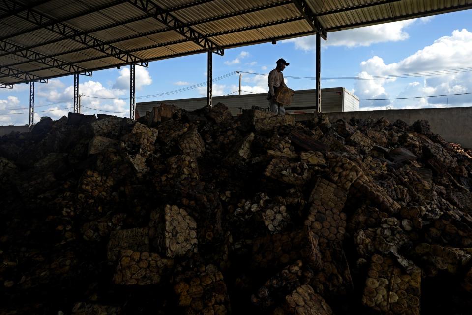 A worker transports a slab of raw rubber at a rubber industrial plant of the cooperative called Cooperacre, in Sena Madureira, Acre state, Brazil, Friday, Dec. 9, 2022. The shoe manufacturer Veja works with Cooperacre, reenergizing the production of a sustainable forest product and improving the living of hundreds of rubber tapper families. (AP Photo/Eraldo Peres)