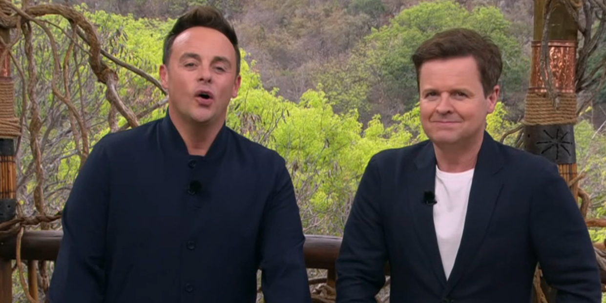 ant and dec, im a celebrity get me out of here south africa