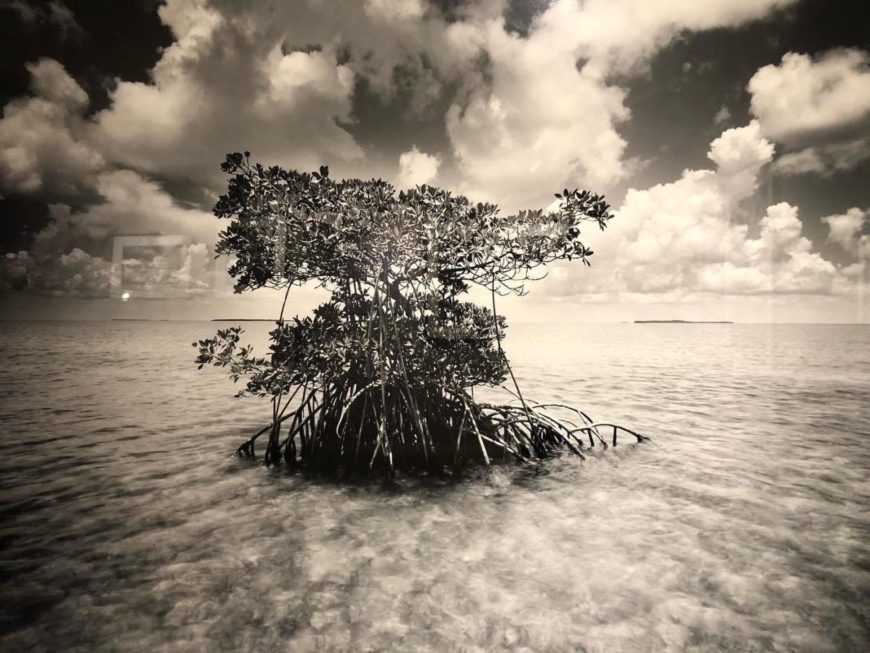 "Shell Key" is one of the photographs included in the exhibit “America the Beautiful: The Photographs of Clyde Butcher” from May 7 to July 16, 2023, at the Midwest Museum of American Art in Elkhart.