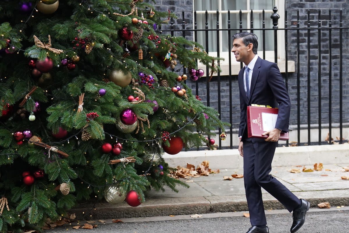 Prime Minister Rishi Sunak (James Manning/PA) (PA Wire)