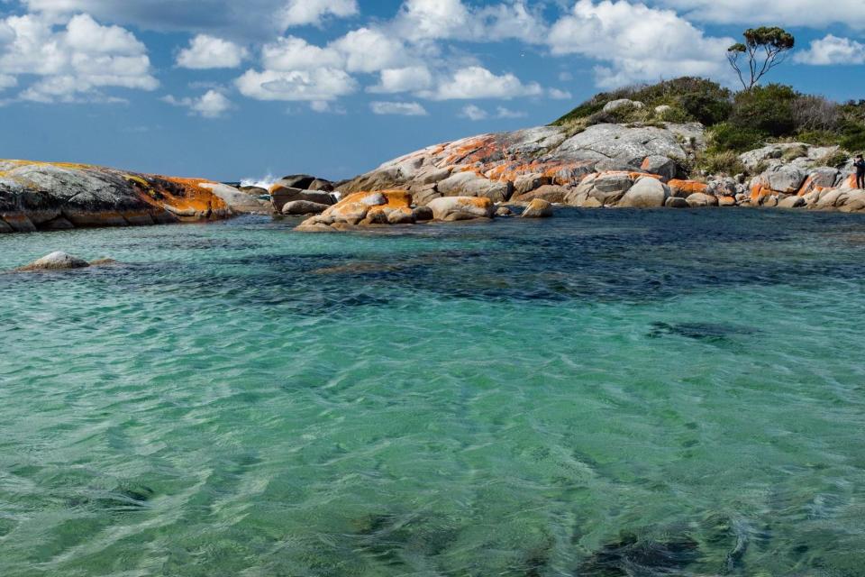 Island life in Tasmania (Unsplash)