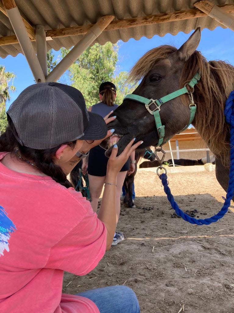 Kristin Bruton and Ja’nay Settles participated in the care of rescued horses, learning about the anatomy and physiology of the animals, as well as their upkeep, physical exams, dentistry, welfare, and assisting in their preventative health care.