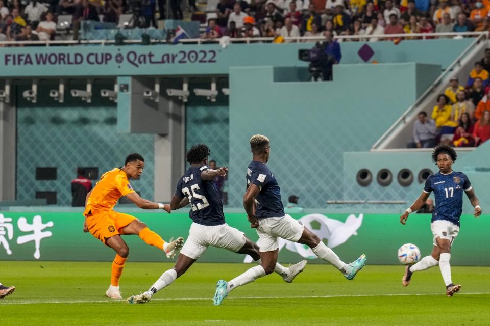 Cody Gakpo of the Netherlands, left, scores the opening goal during the World Cup group A football match between Netherlands and Ecuador, at the Khalifa International Stadium in Doha, Qatar, Friday, Nov. 25, 2022. (AP Photo/Natacha Pisarenko)