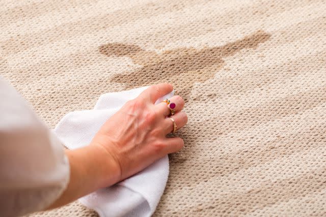 Cleaning a carpet stain. (BHG/Sarah Crowley)