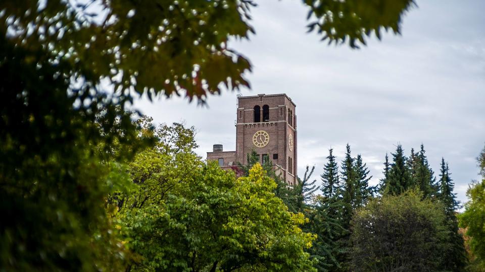 A tower clocks architecture rising above the trees in Kohler, Wisconsin.