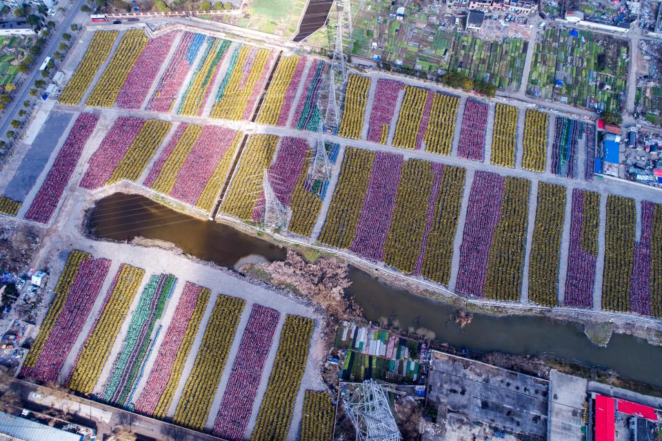 Amazing drone photos of abandoned bikes in China