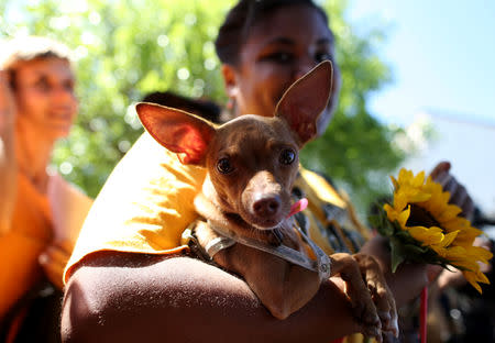 A woman carries a dog during a march in defence of animal rights, in Havana, Cuba April 7, 2019. REUTERS/Fernando Medina