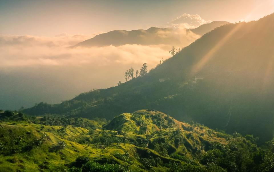 jamaica mountains