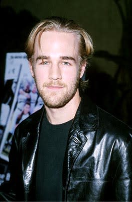 James Van Der Beek at the Egyptian Theatre premiere of Sony Pictures Classics' The Broken Hearts Club