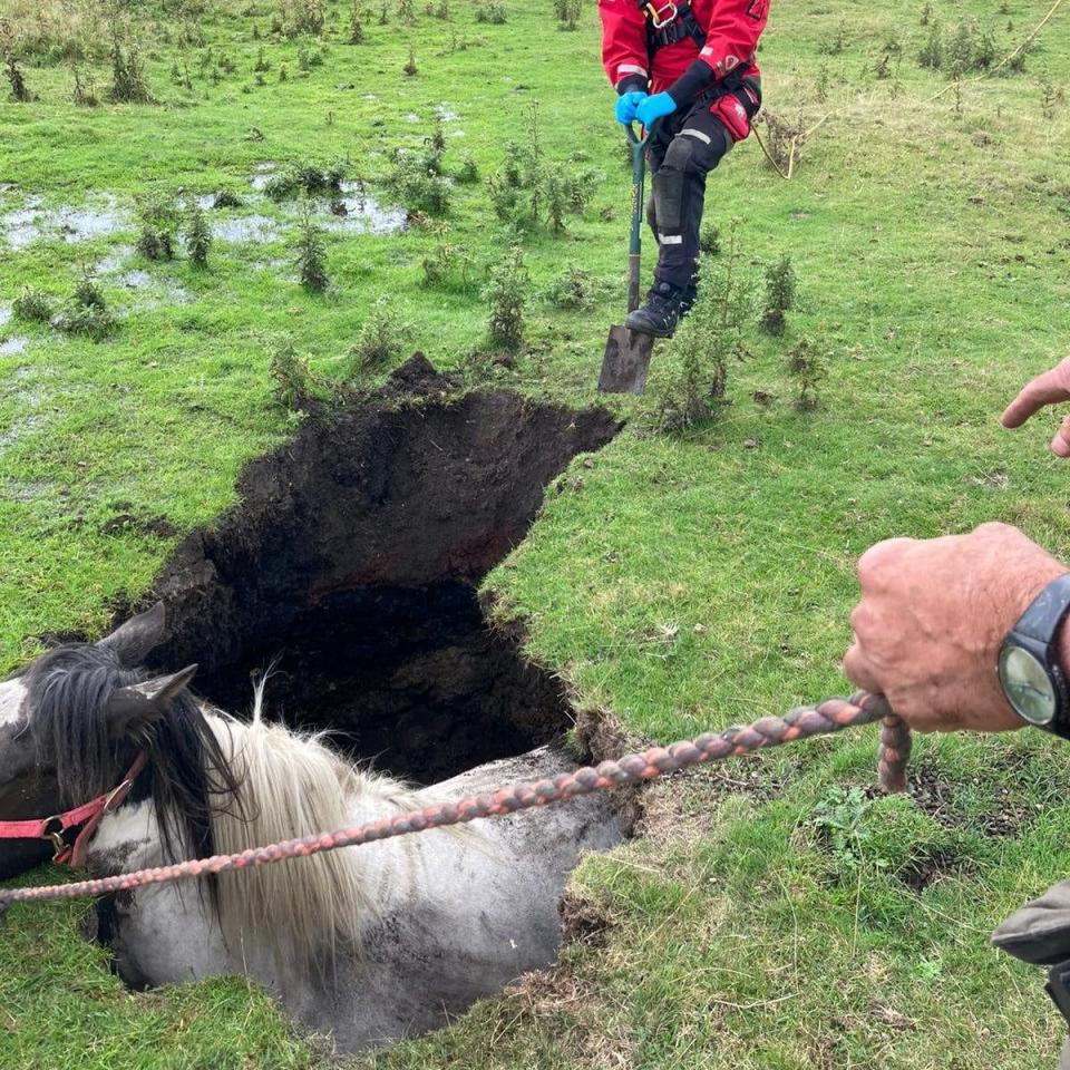 The rescuers managed to dig out a channel for the horse - County Durham Fire & Rescue/SWNS 