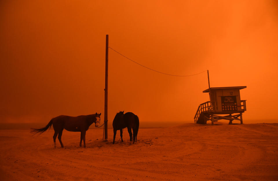 Horses are tied to a pole on a Malibu beach as heavy smoke from the Woolsey fire comes down the coastal hillsides Friday. (Photo: Wally Skalij/Los Angeles Times via Getty Images)